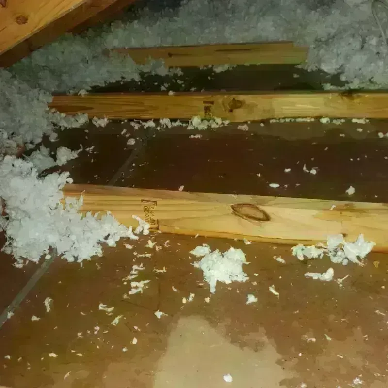 Attic Water Damage in Greenbrier County, WV